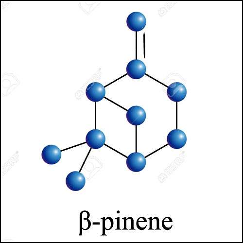 β-pinene