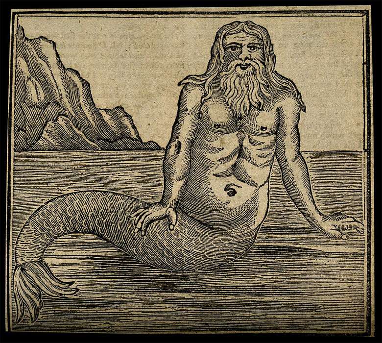 A merman, by the sea. Wood engraving.