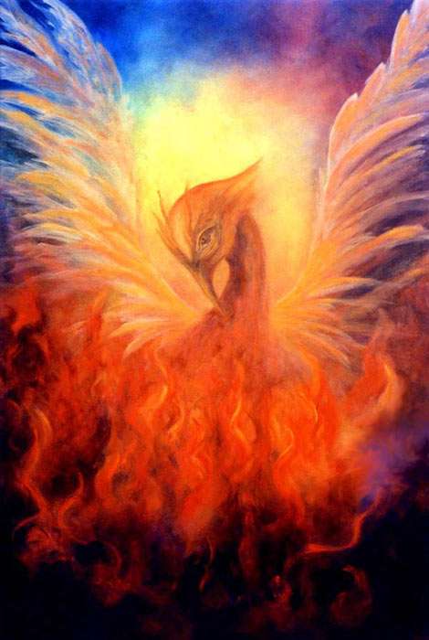 Phoenix Rising by Marina Petro