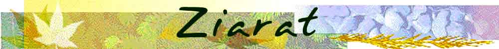 Ziarat banner