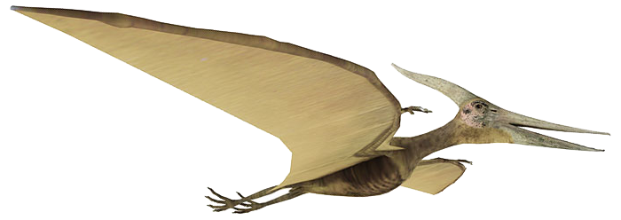 pterosaur flying