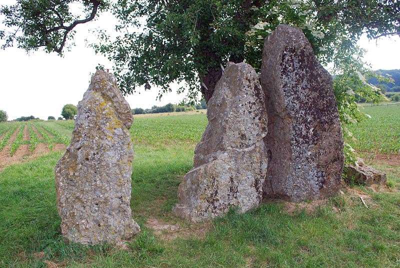 Oppagne menhirs