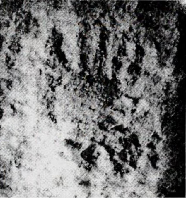 the engraved six finger hand