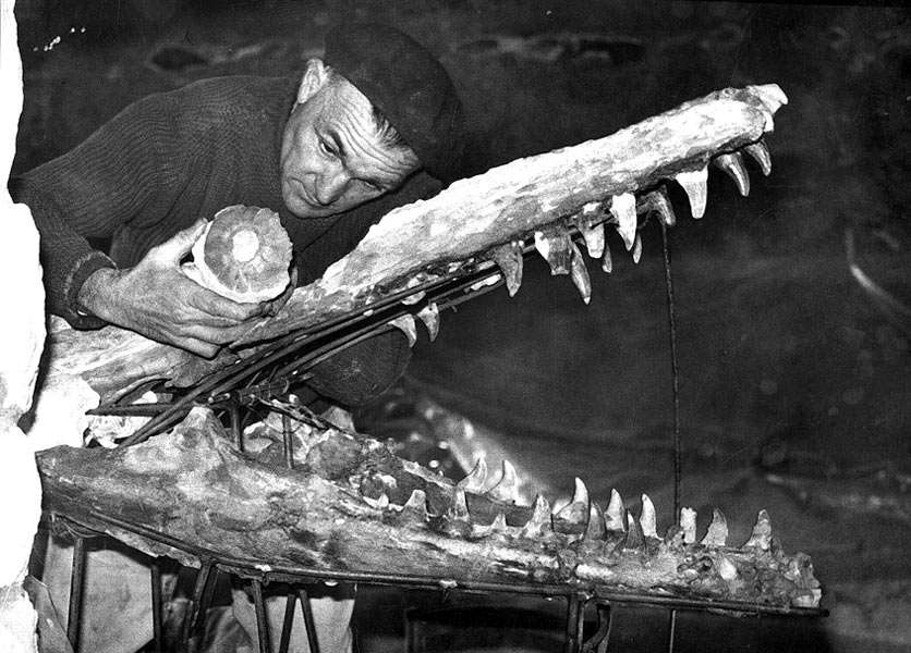 Garcet with the Mosasaurus skull
