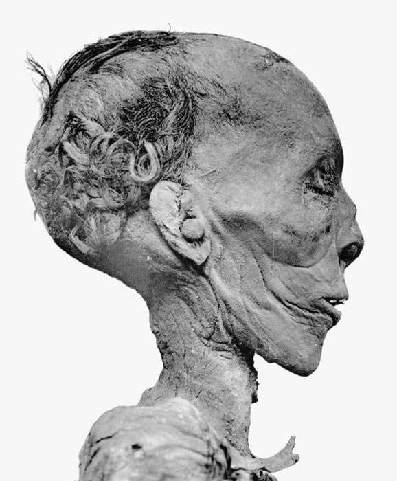 Thutmose II mummy head