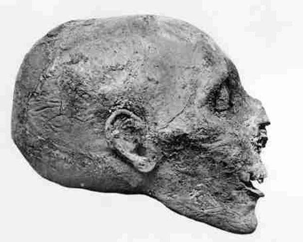 mummy head of thutmose III, father of Akhneaten