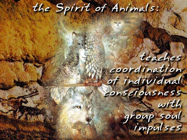 The Spirit of Animals