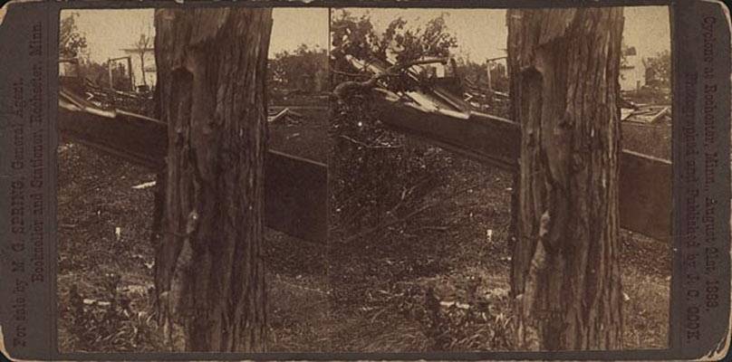 plank through tree