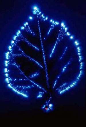 Kirlian picture of a leaf showing orgone or life energy.